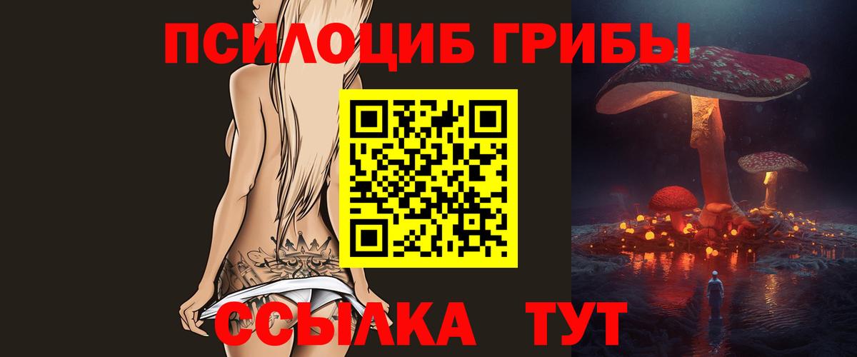Псилоцибиновые грибы мухоморы  где купить наркоту  Мурино  Вход с VPN 